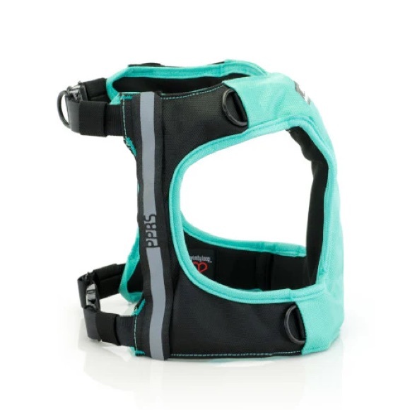 Large Sleepypod Safety ClickIt Terrain 3 Point Safety Harness Bundle- Blue - Picture 5 of 14